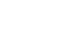 The Mosquito Company